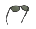RB4202b.png
